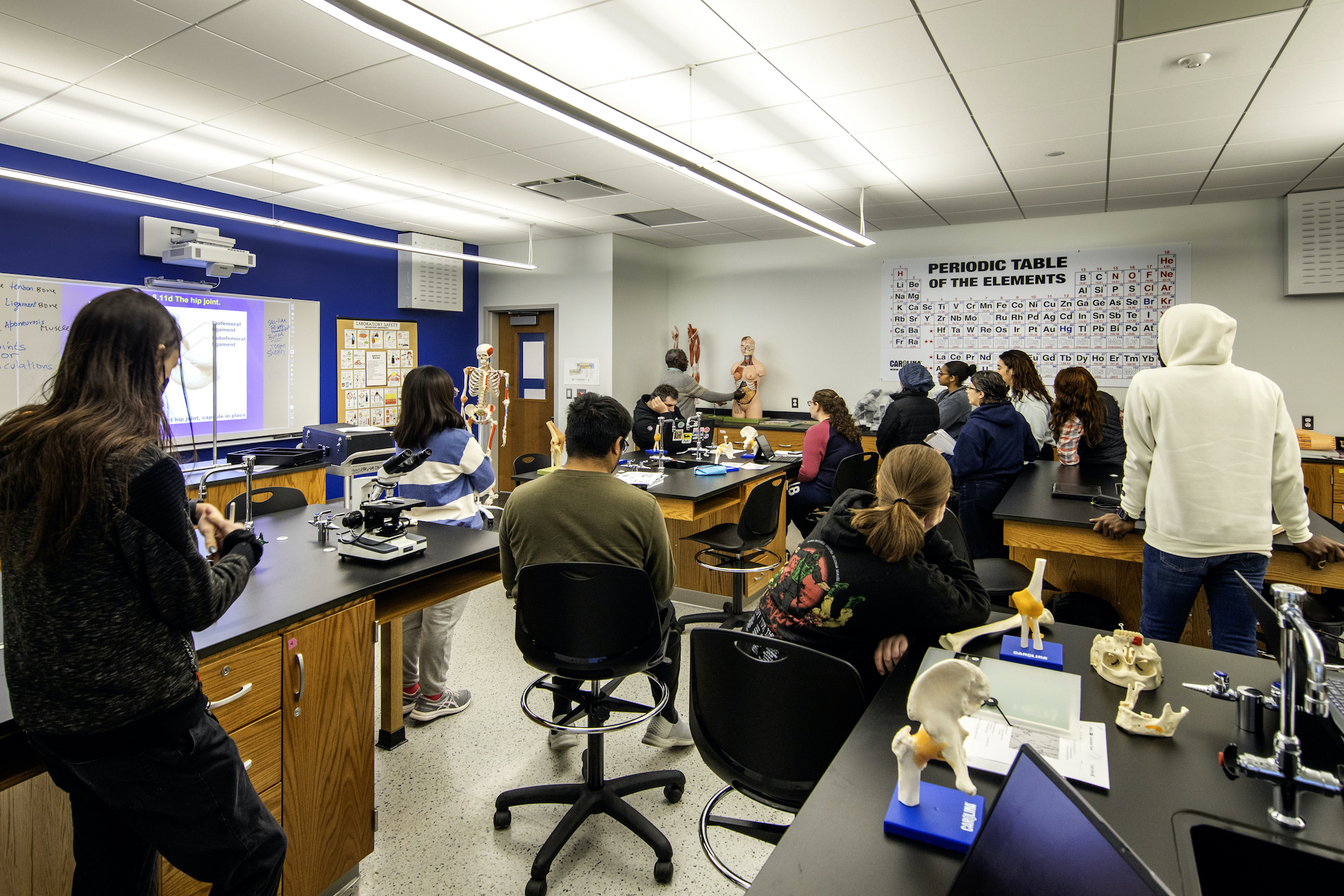 Project Detail Gallery