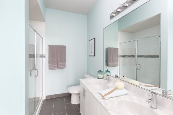 Project Detail Gallery